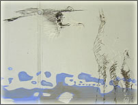 Silikat Kreiden auf Beton, Lebensstrom in Obertürkheim